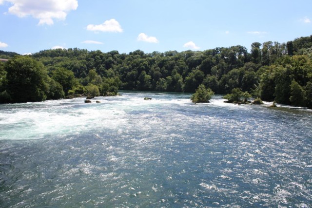 Rheinfall (Szwajcaria)